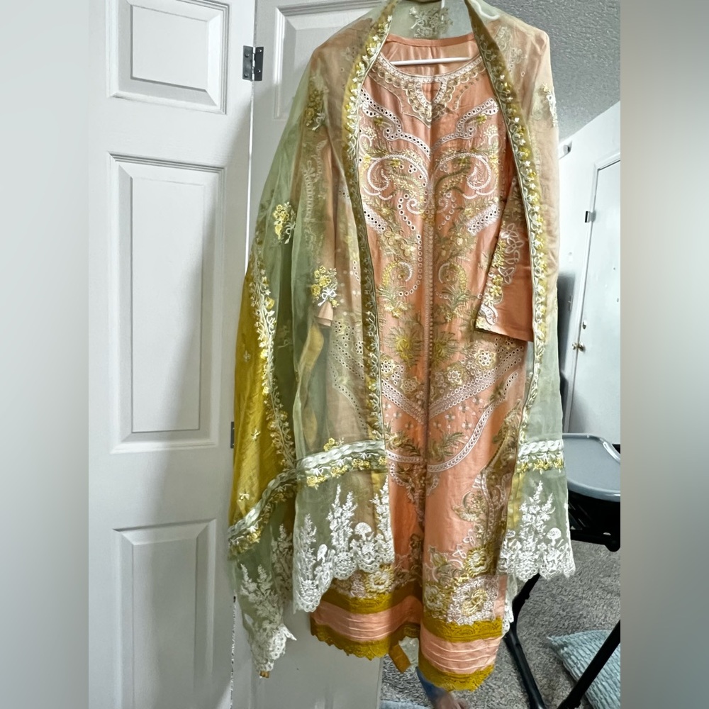 Indian Pakistani fully embroidered dress